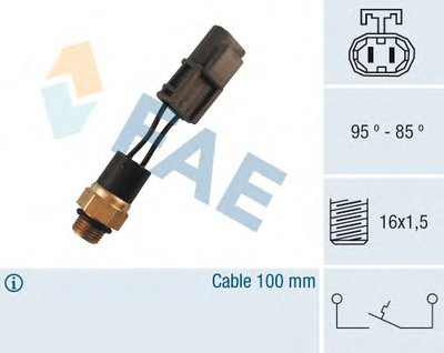 37550 FAE