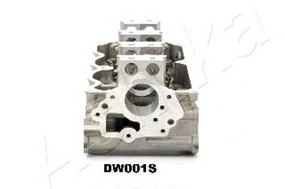 DW001S ASHIKA