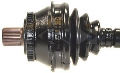 24301 SPIDAN