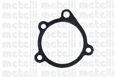 240117 METELLI