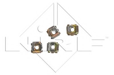 509503A NRF