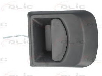 601030002401P BLIC