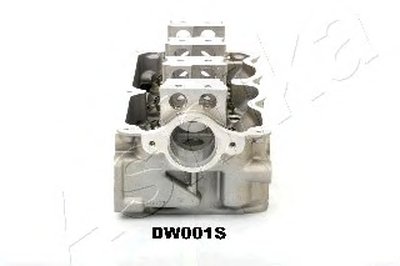 DW001S ASHIKA