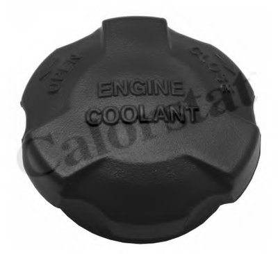 RC0161 CALORSTAT BY VERNET