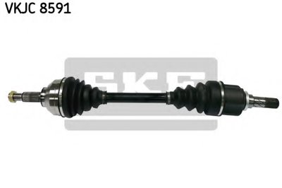VKJC8591 SKF