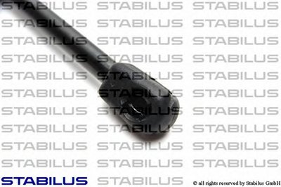 012604 STABILUS