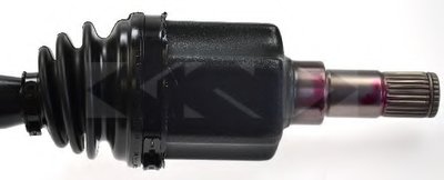 24765 SPIDAN