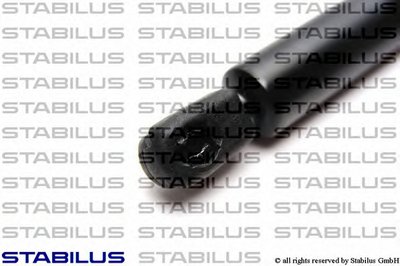012604 STABILUS