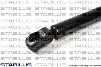 016738 STABILUS
