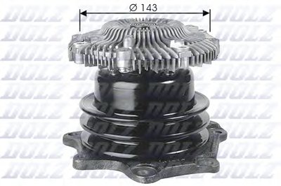 N143 DOLZ