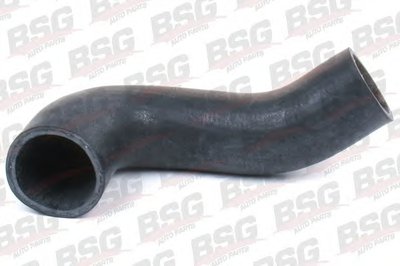 BSG30720098 BSG