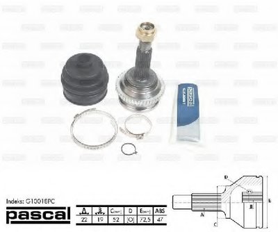 G10018PC PASCAL