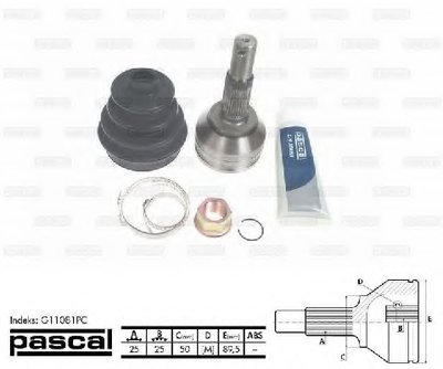 G11081PC PASCAL