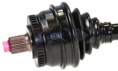 22682 SPIDAN