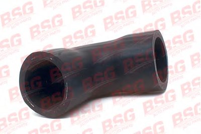 BSG30720099 BSG