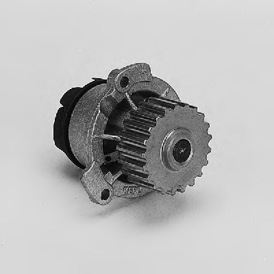 P622 HEPU