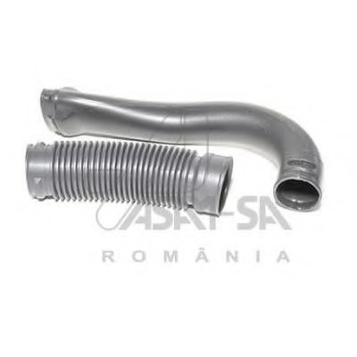 30495 ASAM