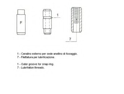 011369 METELLI