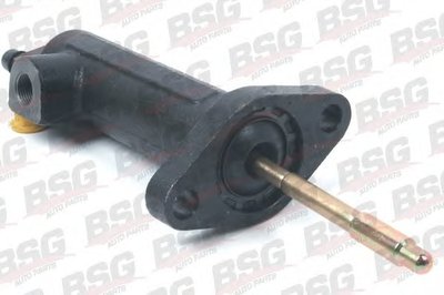 BSG60425005 BSG