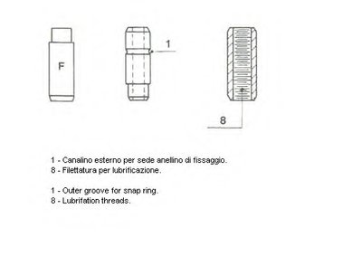 011370 METELLI