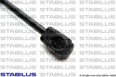 018629 STABILUS