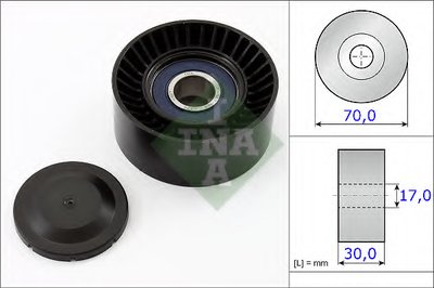 531087310 INA