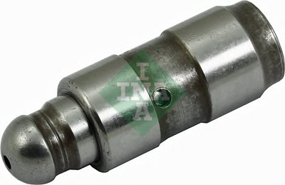 420025410 INA