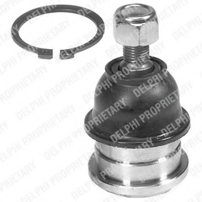 TC592 DELPHI