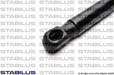018629 STABILUS