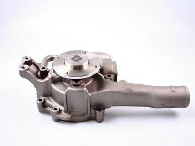 P1554 HEPU