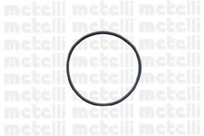 240425 METELLI