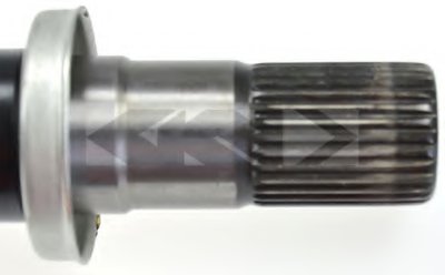 24906 SPIDAN