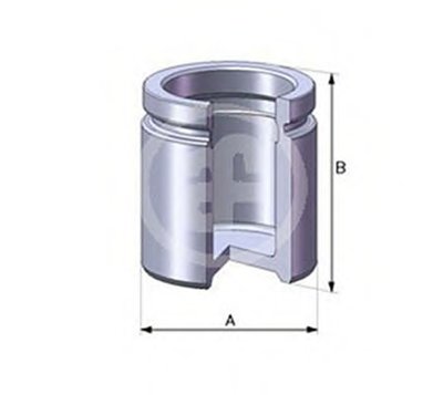 D02520 AUTOFREN SEINSA