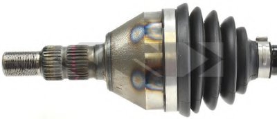 24966 SPIDAN