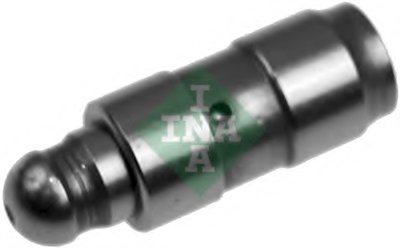 420008610 INA