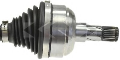 24966 SPIDAN