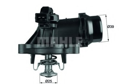 TM18105 MAHLE