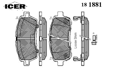 181881 ICER