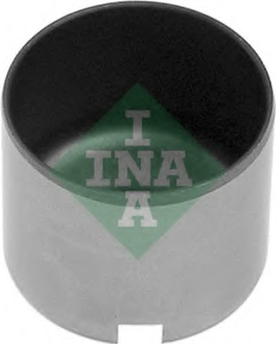 421004110 INA