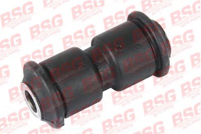 BSG60700031 BSG