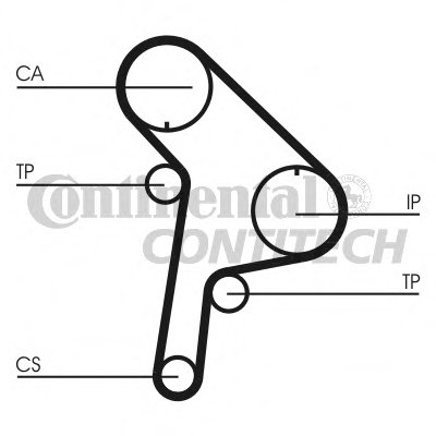 CT951 CONTITECH