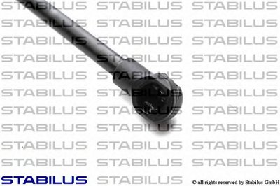 018724 STABILUS