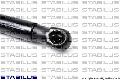 032455 STABILUS