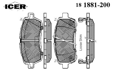 181881200 ICER