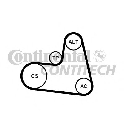6PK1217K1 CONTITECH