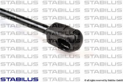 244991 STABILUS