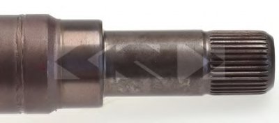 25181 SPIDAN