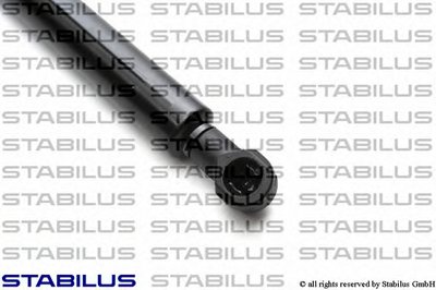 018724 STABILUS