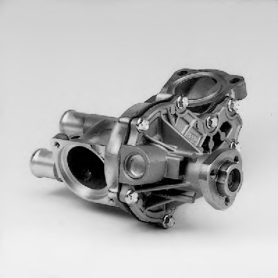 P513 HEPU