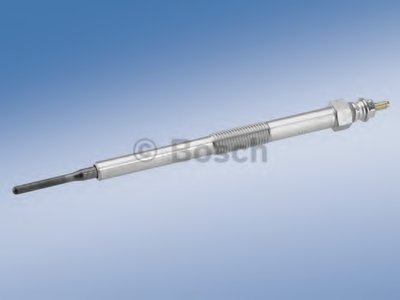 0250202124 BOSCH
